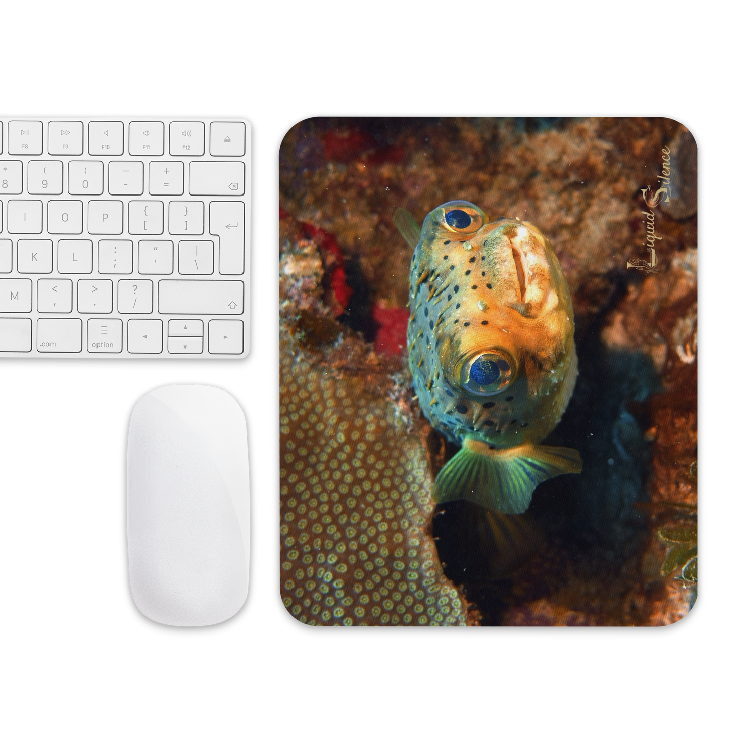 Tapis de souris - Poisson-Ballon - Livraison gratuite