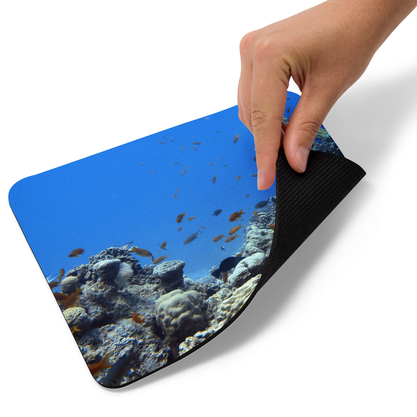 Tapis de souris – Ambiance récif corallien – Livraison gratuite