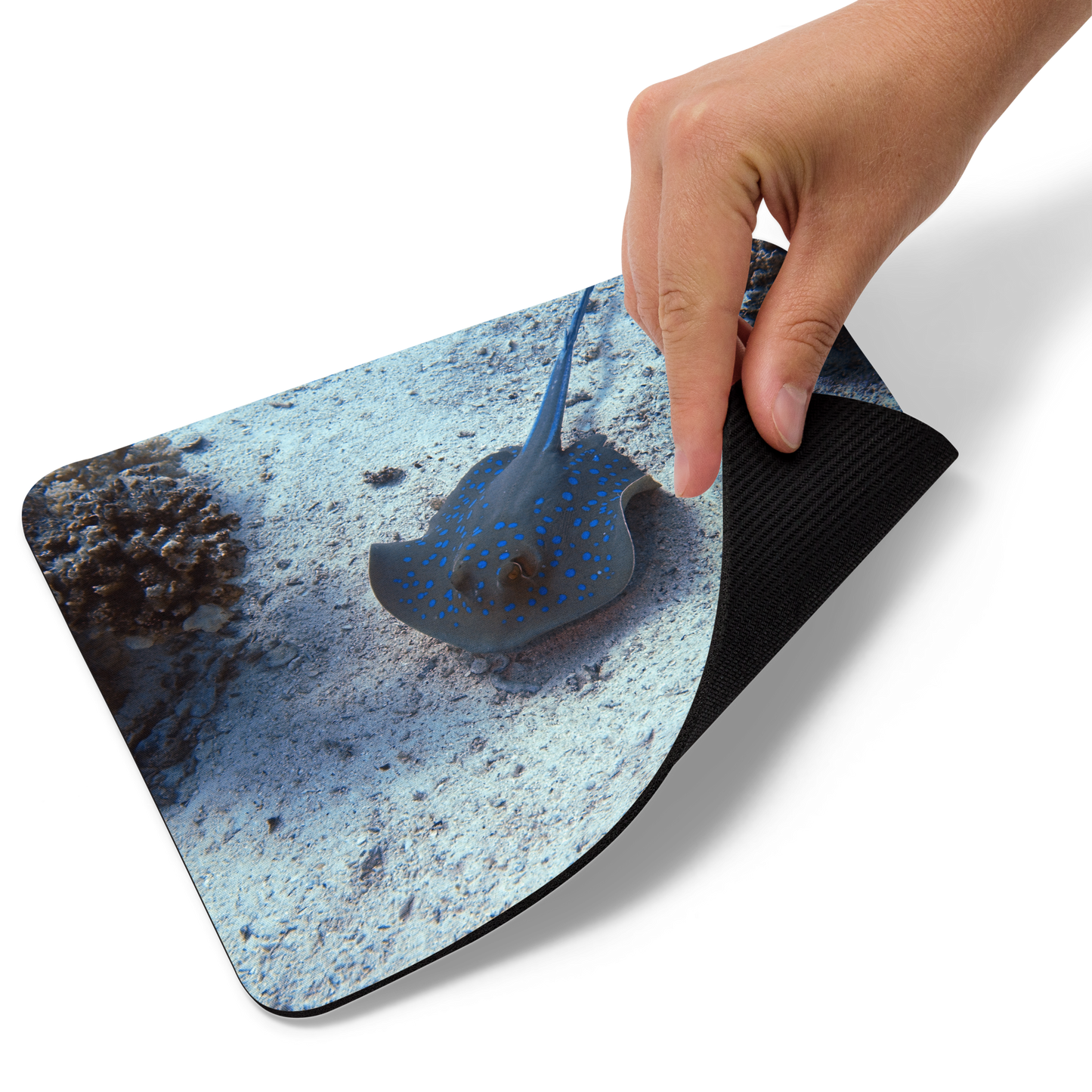 Tapis de souris - Raie Pastenague - Livraison gratuite