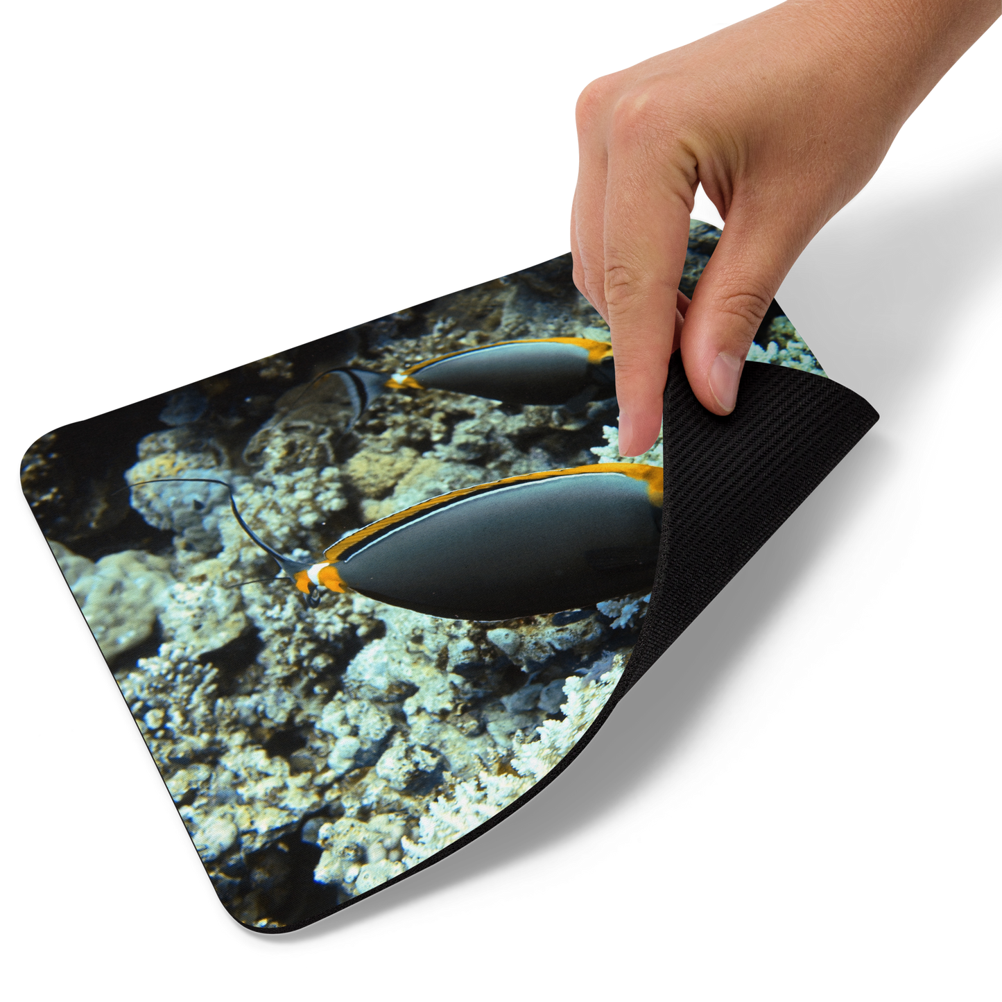 Tapis de souris - Poissons Chirurgiens - Livraison gratuite