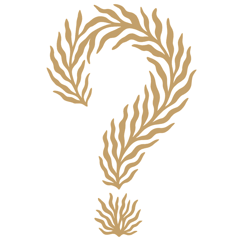 Julias's secret (bientôt!)