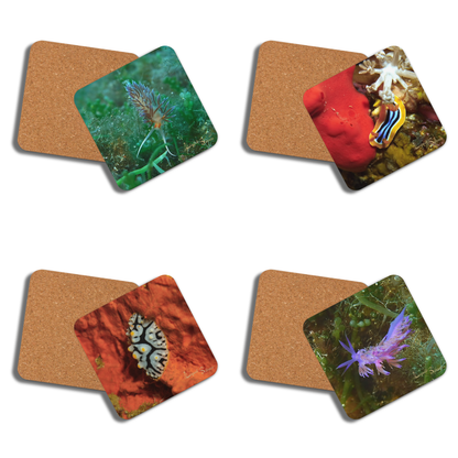 PACK OF 4 coasters - Nudibranch Collection