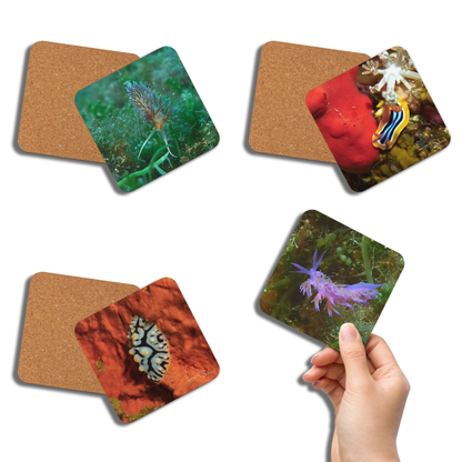 PACK OF 4 coasters - Nudibranch Collection