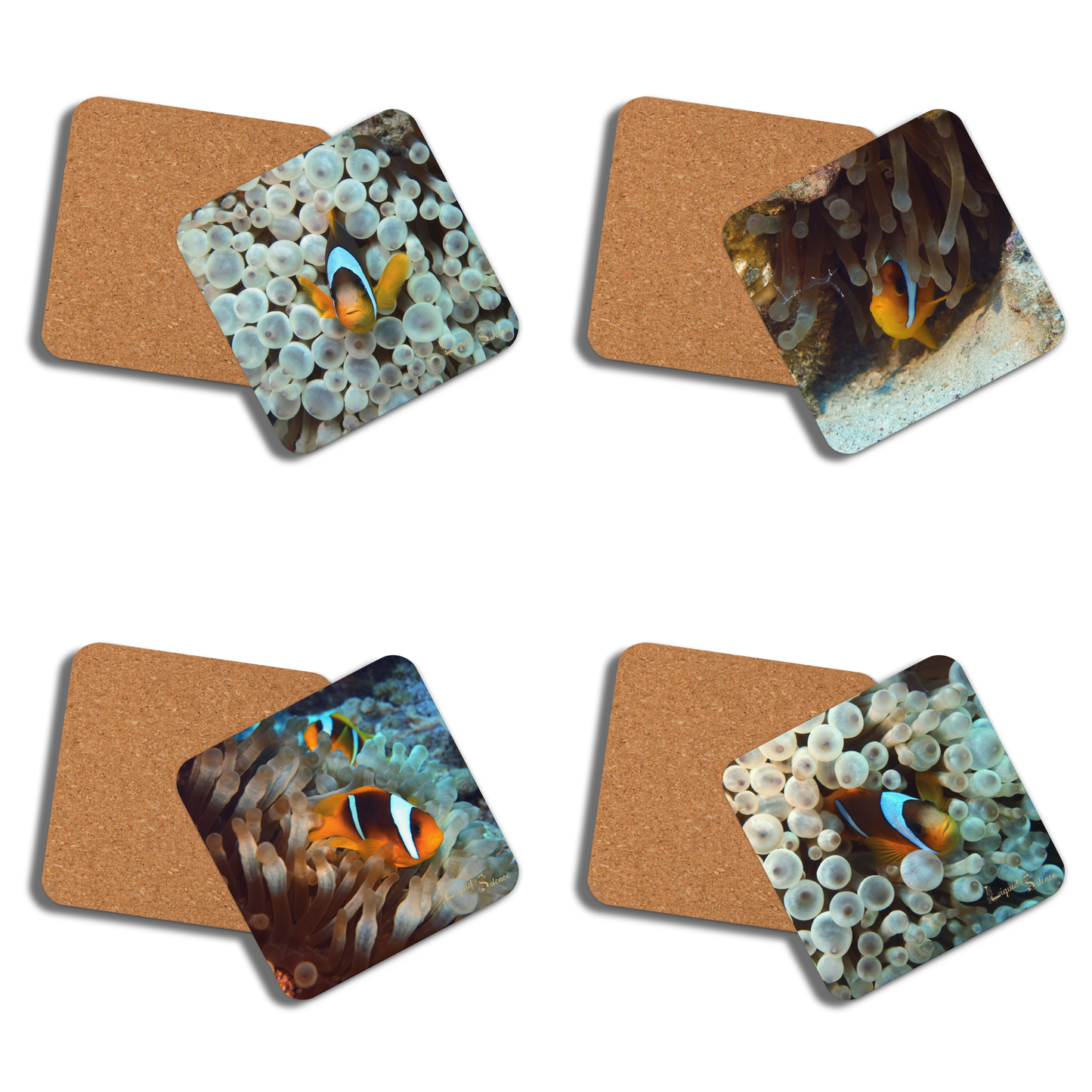 PACK OF 4 COASTERS - Clownfish Collection