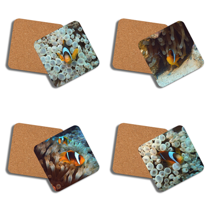 PACK OF 4 COASTERS - Clownfish Collection