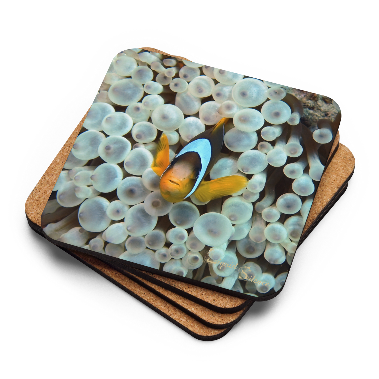 PACK OF 4 COASTERS - Clownfish Collection