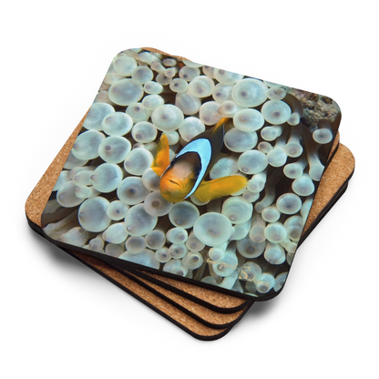 PACK OF 4 COASTERS - Clownfish Collection