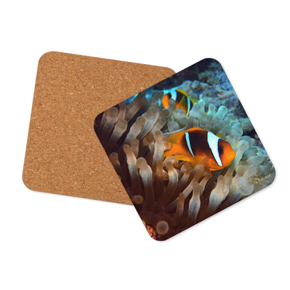 Coaster – “Hidden Splendor” (Clownfish)