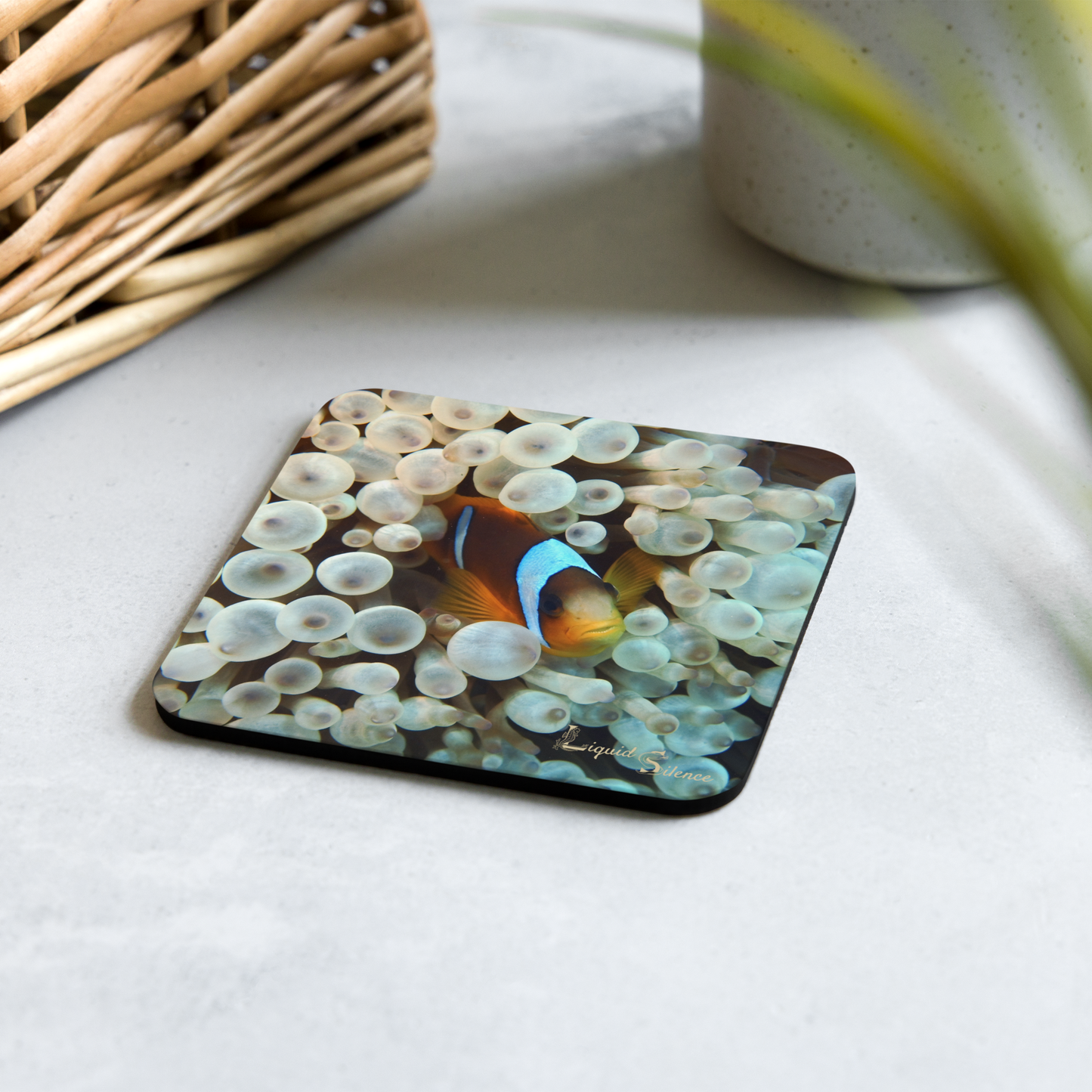 PACK OF 4 COASTERS - Clownfish Collection