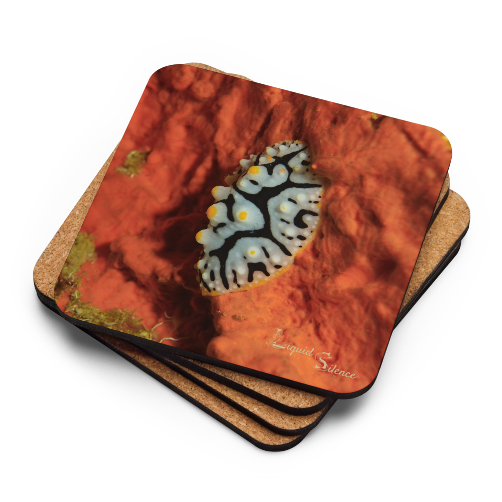 PACK OF 4 coasters - Nudibranch Collection
