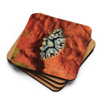 PACK OF 4 coasters - Nudibranch Collection