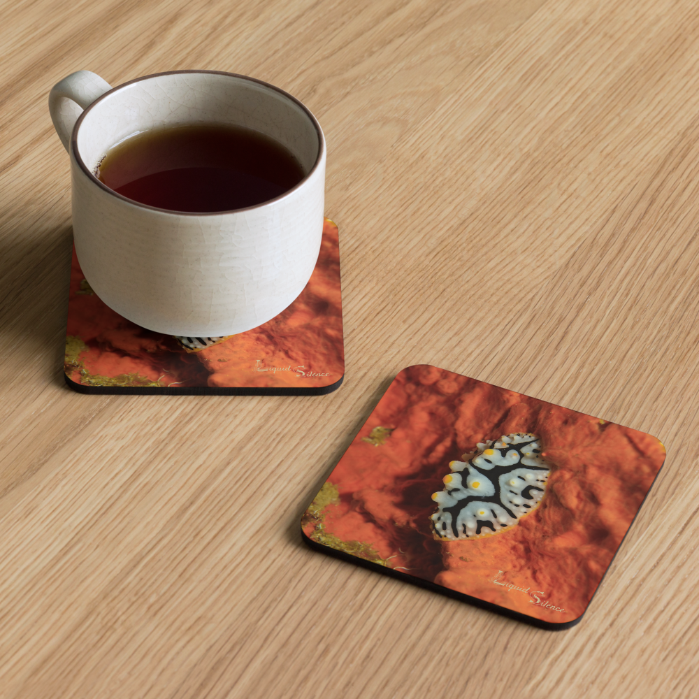 PACK OF 4 coasters - Nudibranch Collection