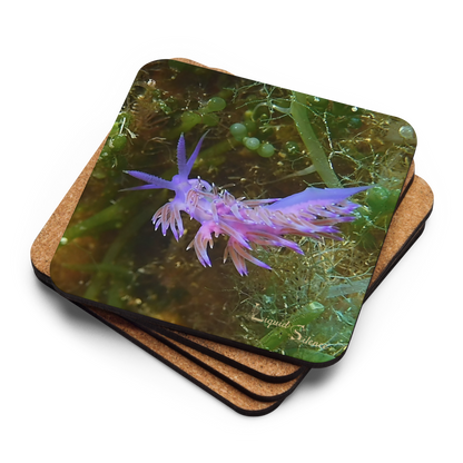 PACK OF 4 coasters - Nudibranch Collection