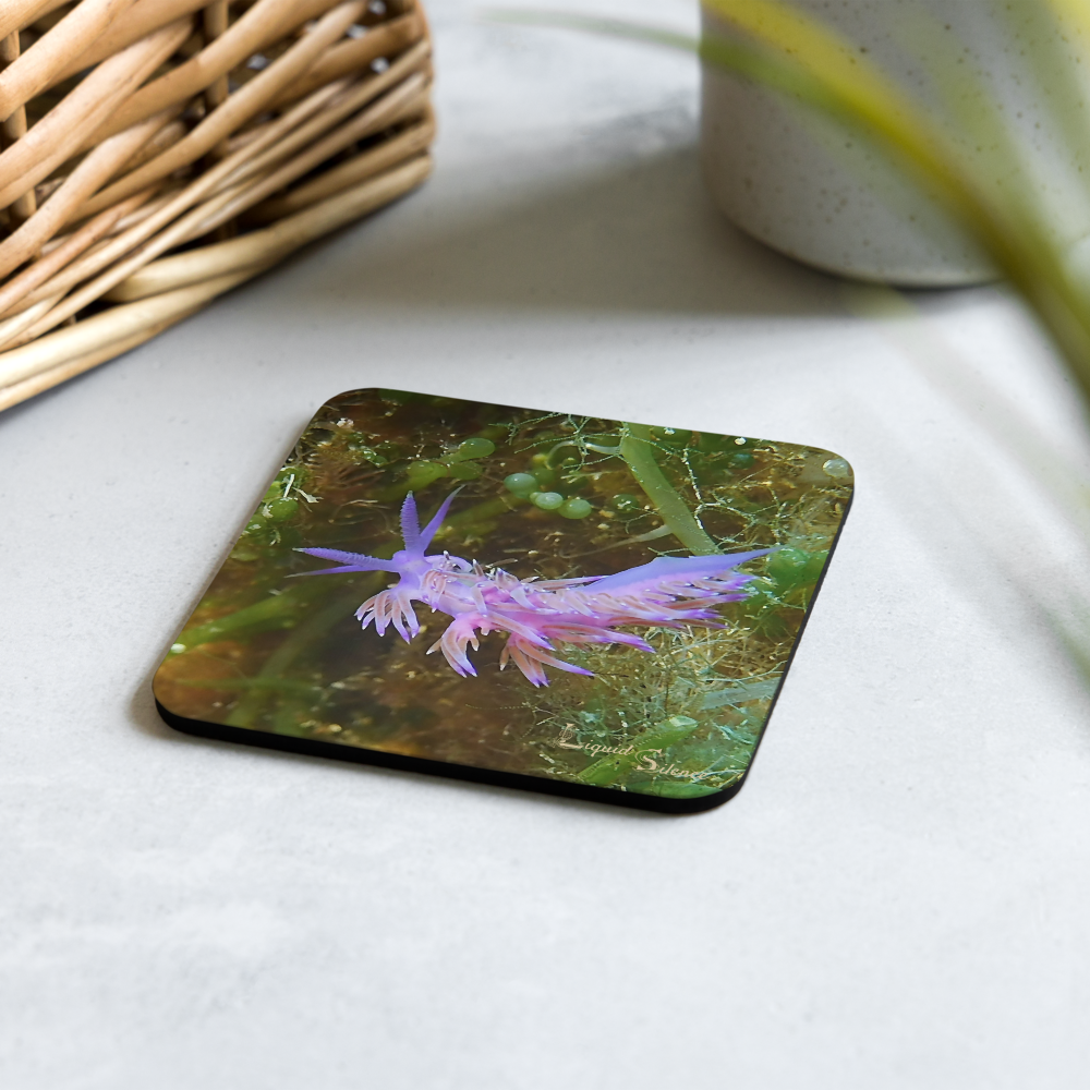 PACK OF 4 coasters - Nudibranch Collection