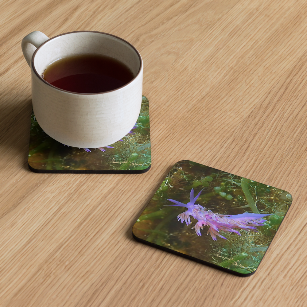 PACK OF 4 coasters - Nudibranch Collection