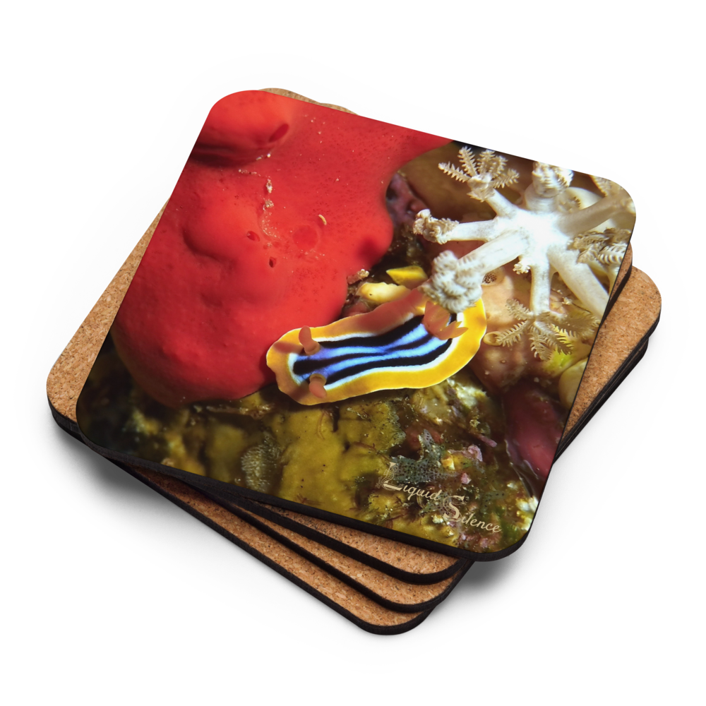 PACK OF 4 coasters - Nudibranch Collection
