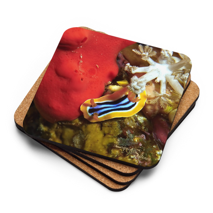 PACK OF 4 coasters - Nudibranch Collection