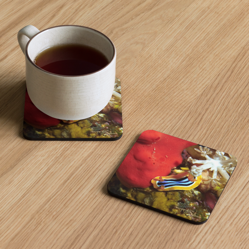 PACK OF 4 coasters - Nudibranch Collection