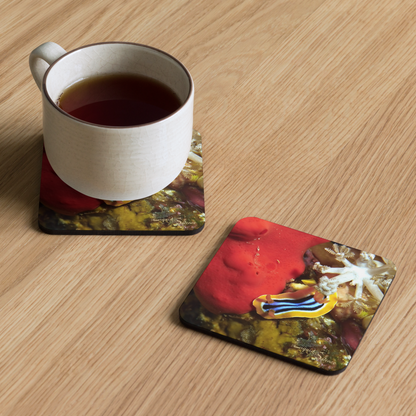 PACK OF 4 coasters - Nudibranch Collection