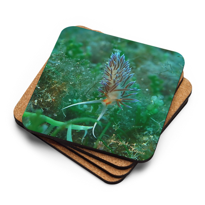 PACK OF 4 coasters - Nudibranch Collection