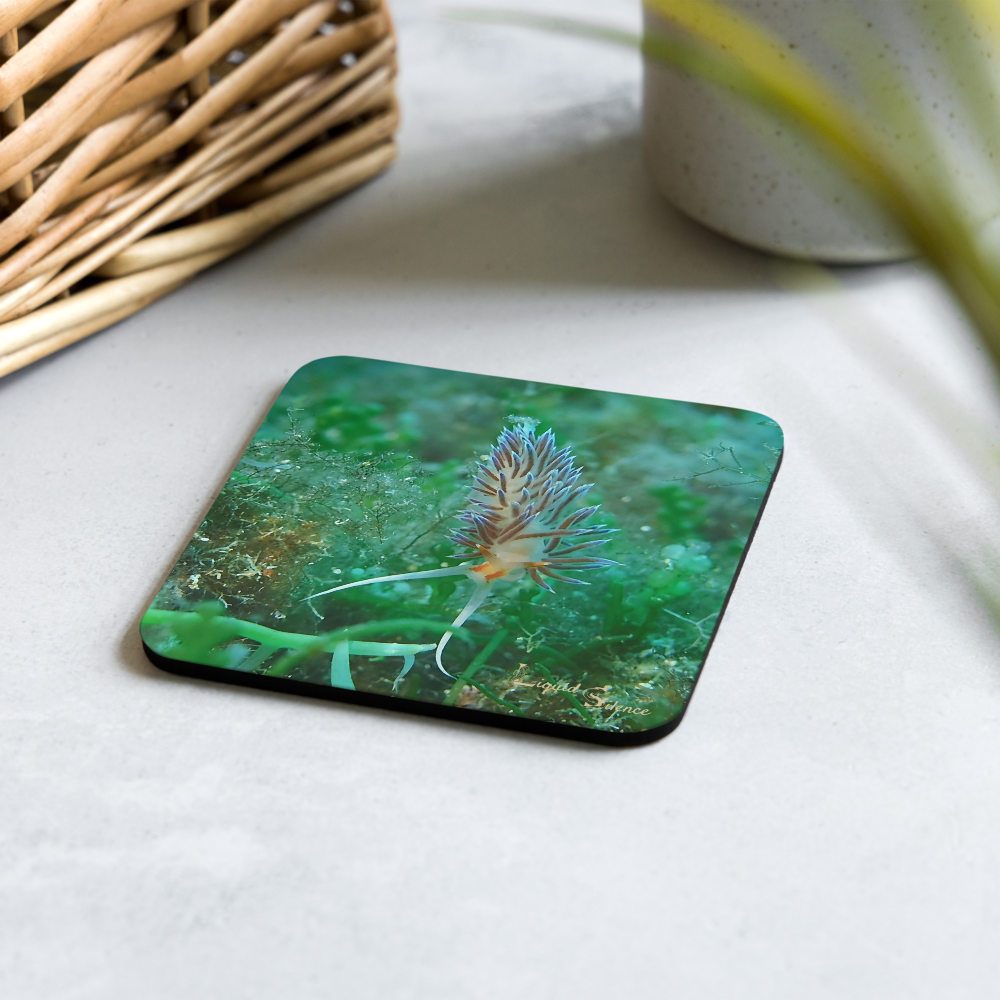PACK OF 4 coasters - Nudibranch Collection