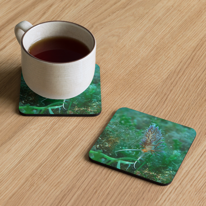 PACK OF 4 coasters - Nudibranch Collection