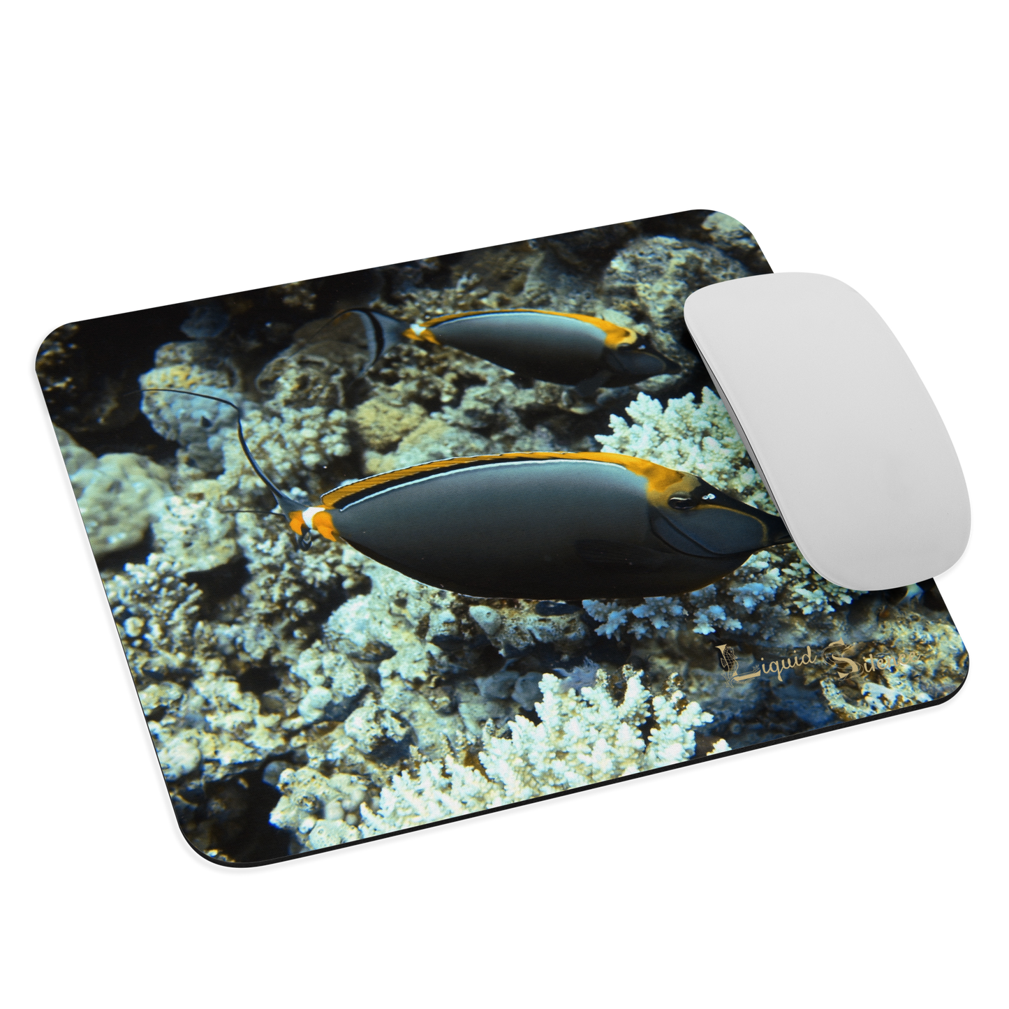 Tapis de souris - Poissons Chirurgiens - Livraison gratuite