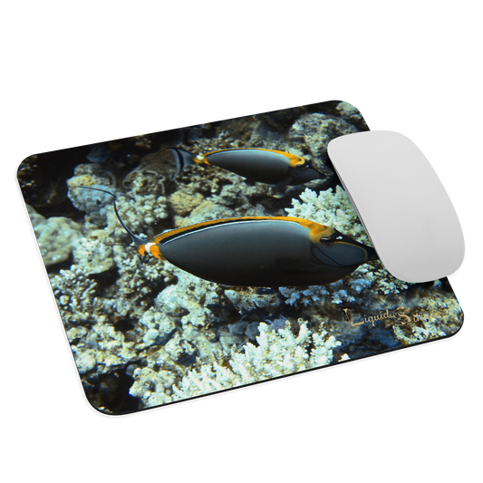Tapis de souris - Poissons Chirurgiens - Livraison gratuite