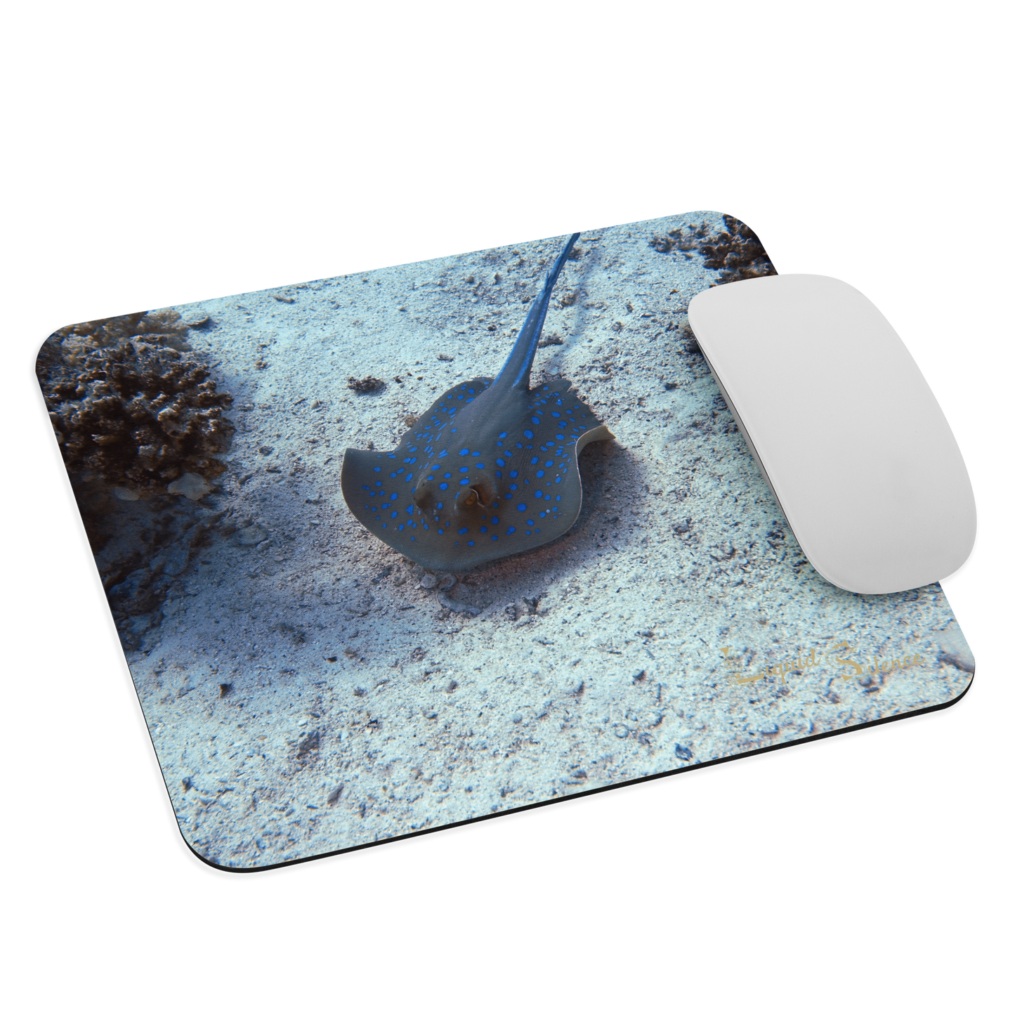 Tapis de souris - Raie Pastenague - Livraison gratuite