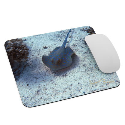 Tapis de souris - Raie Pastenague - Livraison gratuite