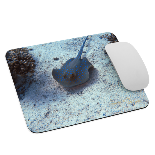 Tapis de souris - Raie Pastenague - Livraison gratuite