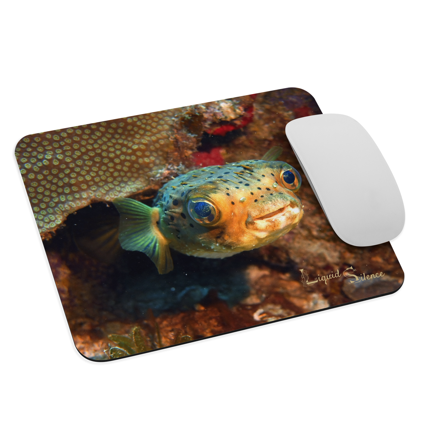 Tapis de souris - Poisson-Ballon - Livraison gratuite