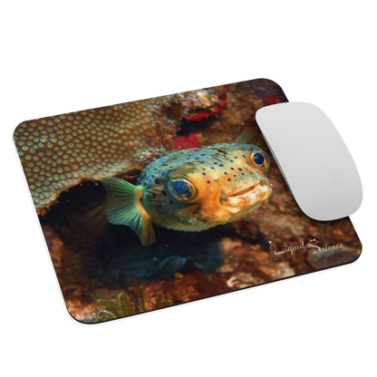 Tapis de souris - Poisson-Ballon - Livraison gratuite