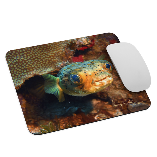 Tapis de souris - Poisson-Ballon - Livraison gratuite