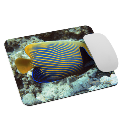 Tapis de souris – Poisson‑Ange Empereur – Livraison gratuite