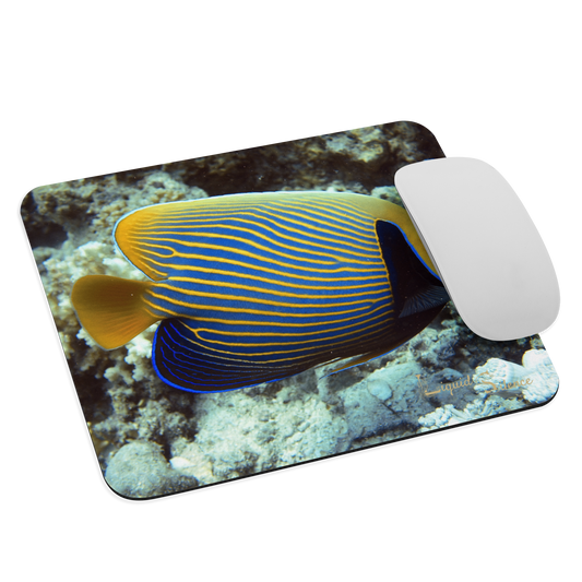 Tapis de souris – Poisson‑Ange Empereur – Livraison gratuite