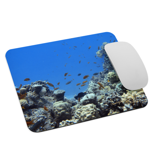 Tapis de souris – Ambiance récif corallien – Livraison gratuite