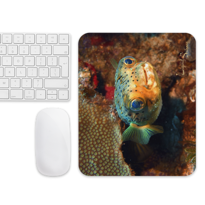 Tapis de souris - Poisson-Ballon - Livraison gratuite