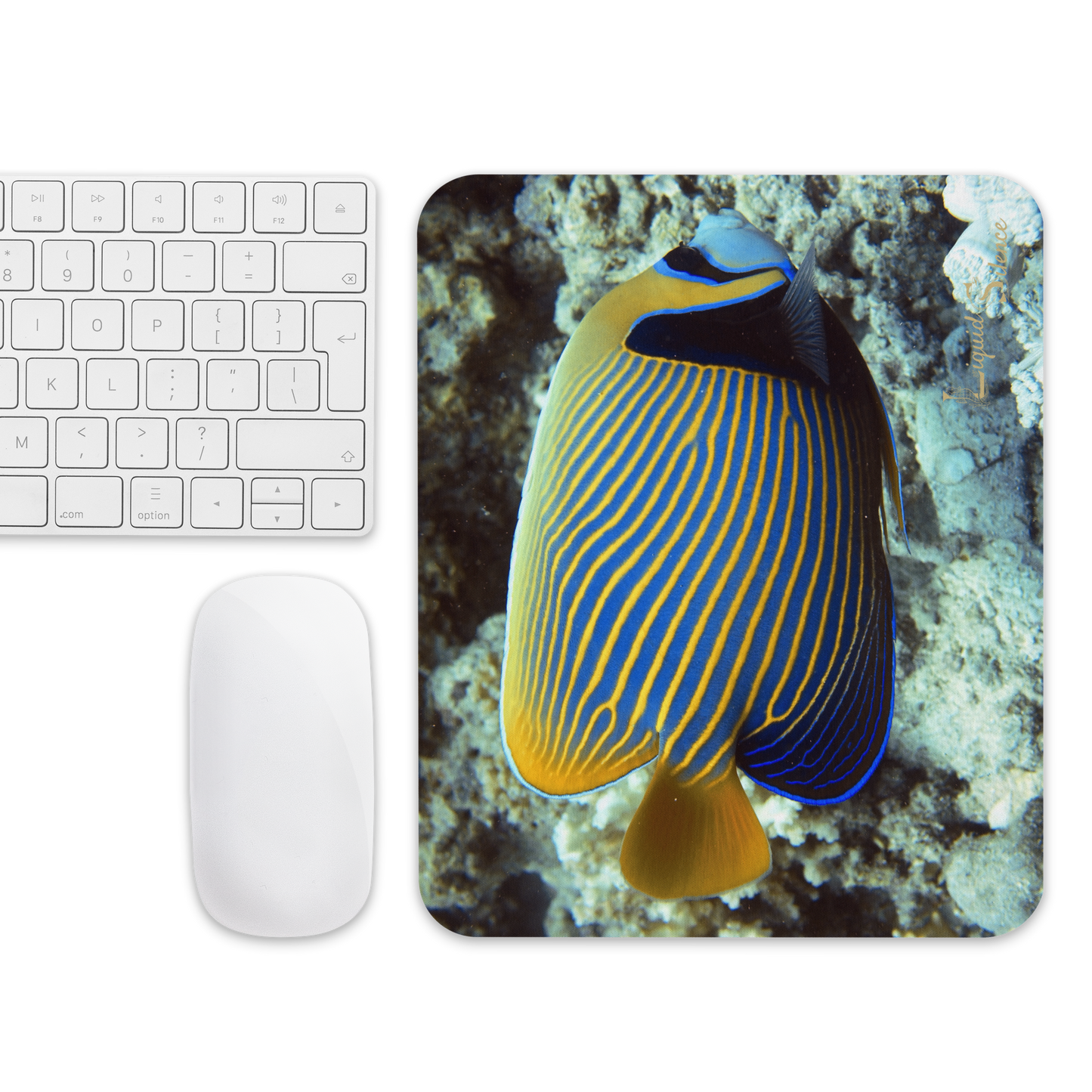 Tapis de souris – Poisson‑Ange Empereur – Livraison gratuite