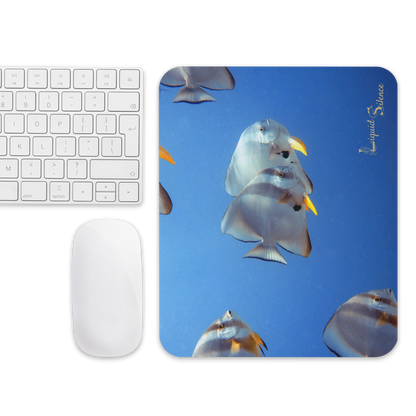 Tapis de souris - Banc de Platax - Livraison gratuite