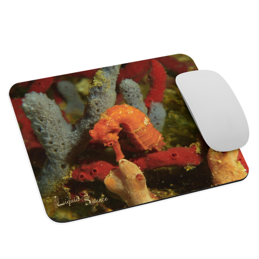 Mouse pad - Seahorse in sponges – Free shipping