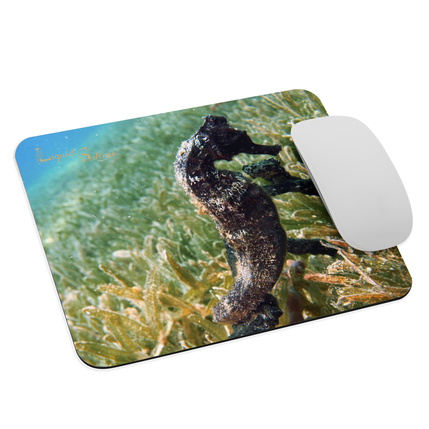 Mouse pad - Seahorse in seagrass - Free shipping
