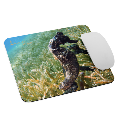 Mouse pad - Seahorse in seagrass - Free shipping