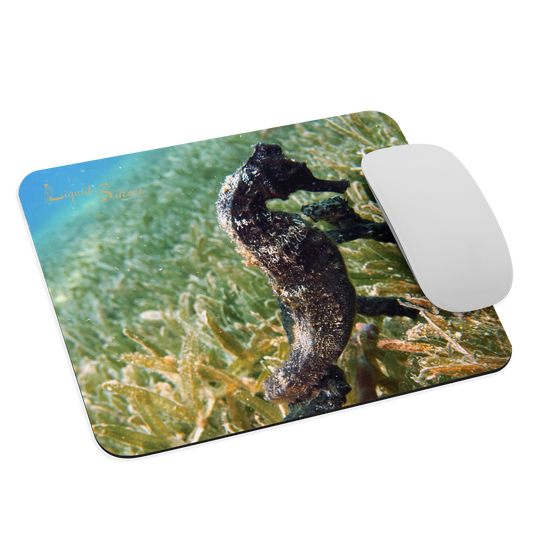 Mouse pad - Seahorse in seagrass - Free shipping