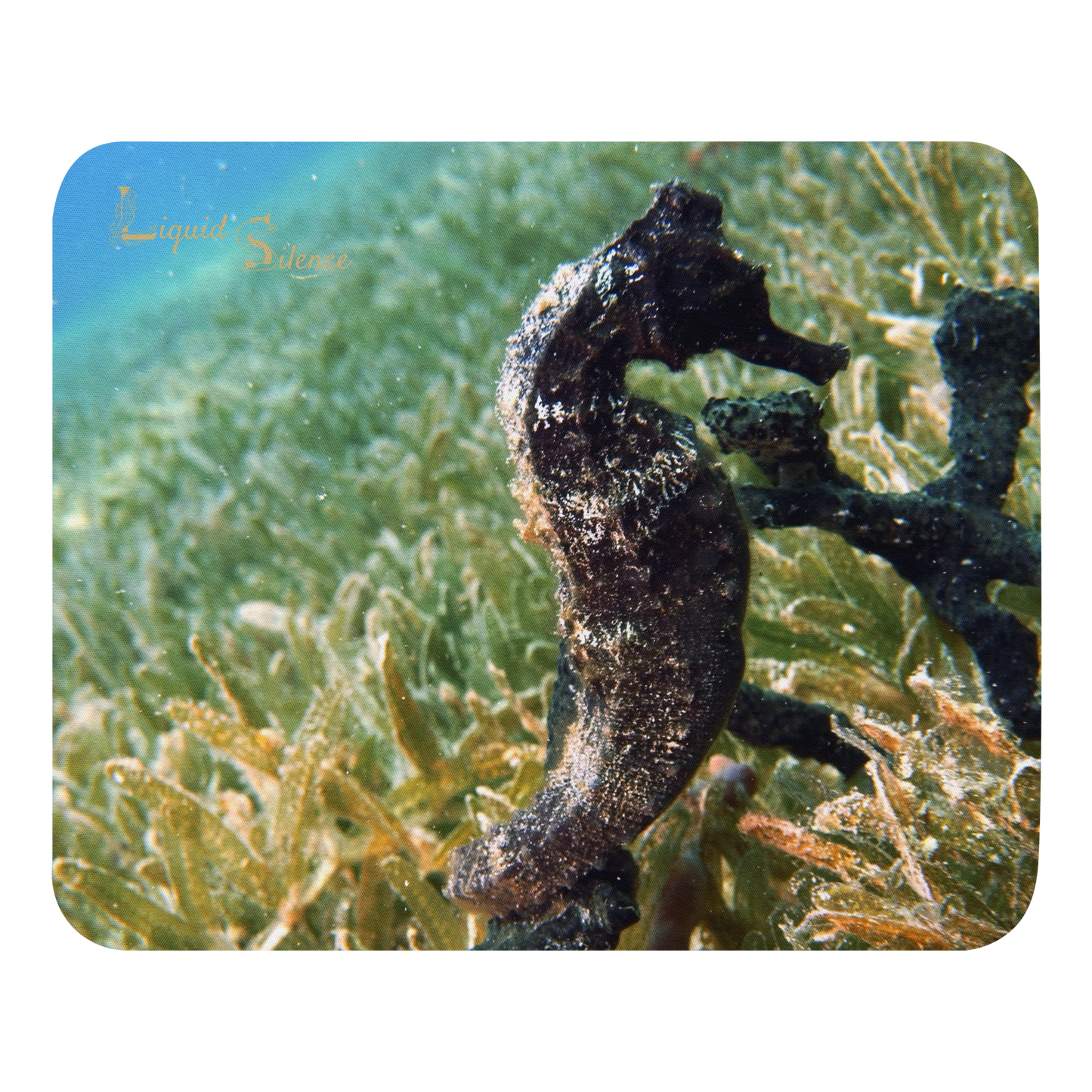 Mouse pad - Seahorse in seagrass - Free shipping