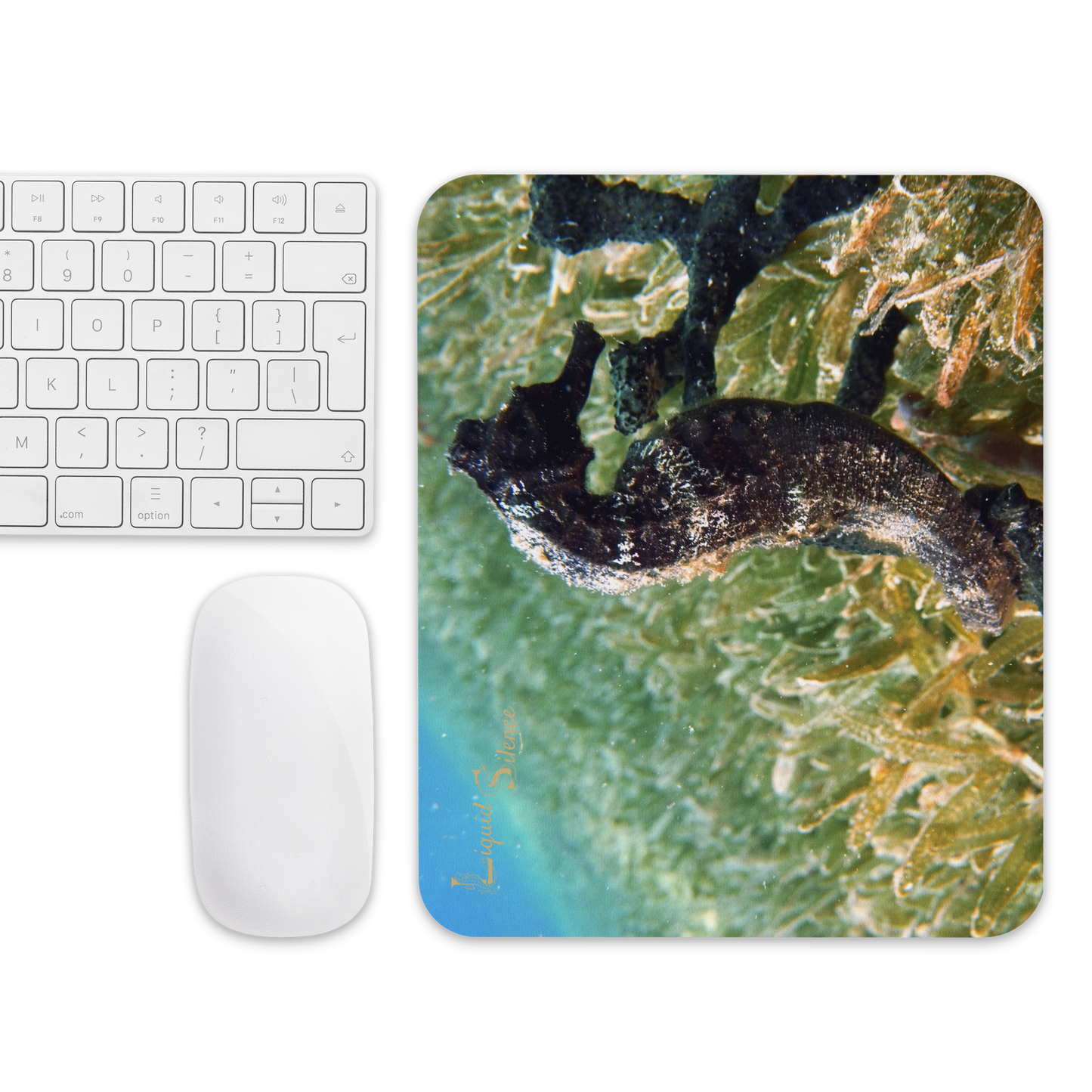 Mouse pad - Seahorse in seagrass - Free shipping
