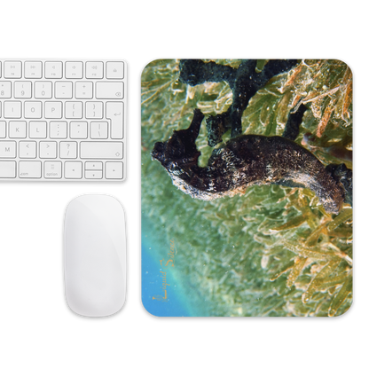 Mouse pad - Seahorse in seagrass - Free shipping