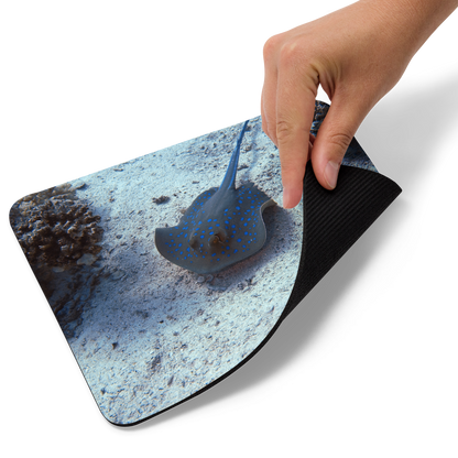 Tapis de souris - Raie Pastenague - Livraison gratuite