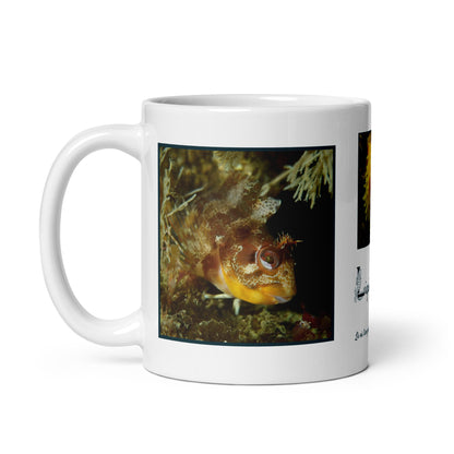 Mug Bretagne - Plongée bretonne & drapeau gwenn ha du